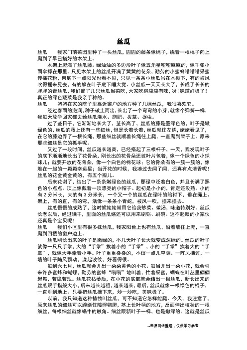 丝瓜_四年级日记