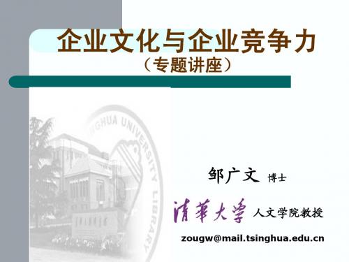 企业文化与企业竞争力-专题讲座(ppt+46)