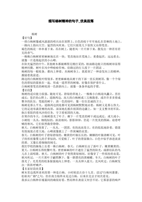 描写杨树的句子_好句子大全