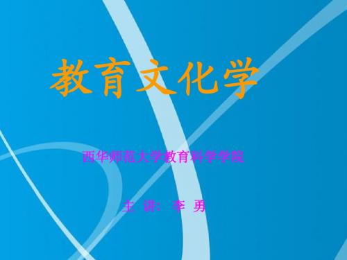 教育文化学：导论