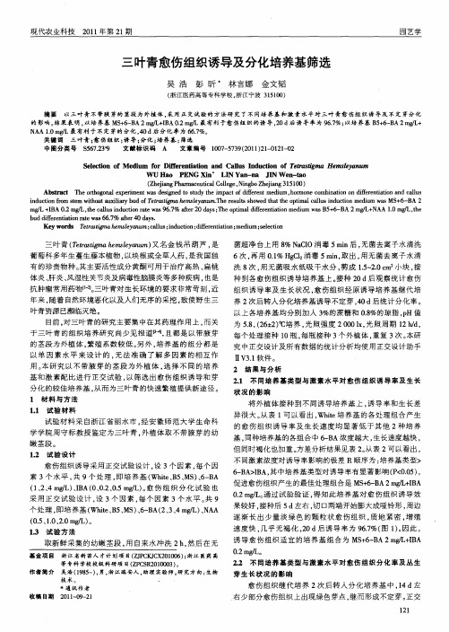 三叶青愈伤组织诱导及分化培养基筛选
