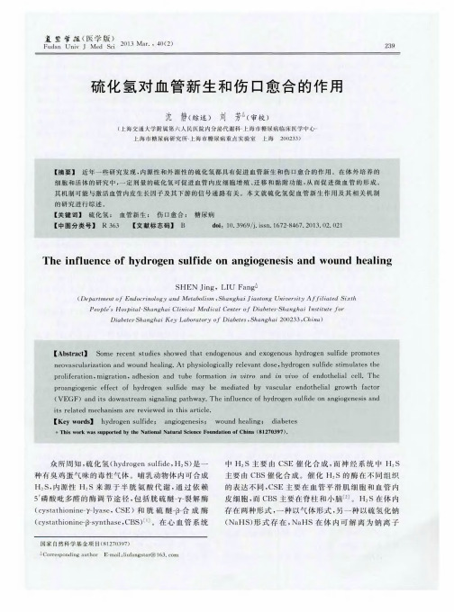 硫化氢对血管新生和伤口愈合的作用