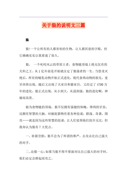关于狼的说明文三篇