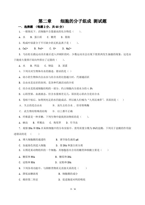 细胞的分子组成-测试题