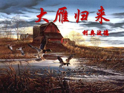 《大雁归来》  优秀PPT课件7