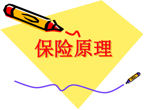 保险的基本原理 PPT课件