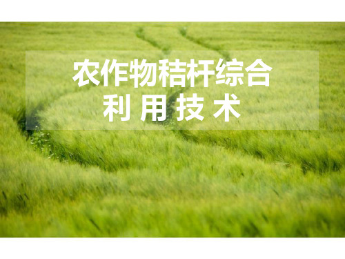 农作物秸杆综合利用技术