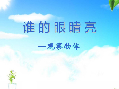 《谁的眼睛亮》PPT课件