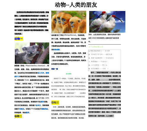 世界因各种各样动物的存在而生机勃勃