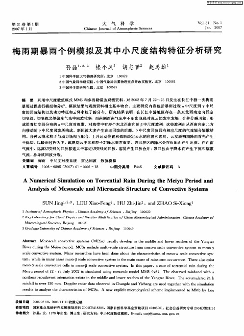 梅雨期暴雨个例模拟及其中小尺度结构特征分析研究