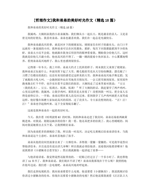 [哲理作文]我和弟弟的美好时光作文(精选10篇)