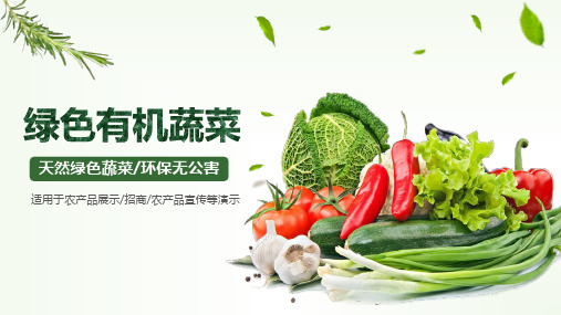 大棚种植创业计划书PPT