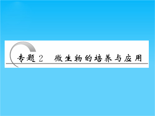 高考生物一轮复习 专题2微生物的培养与应用精品课件 新人教版选修1