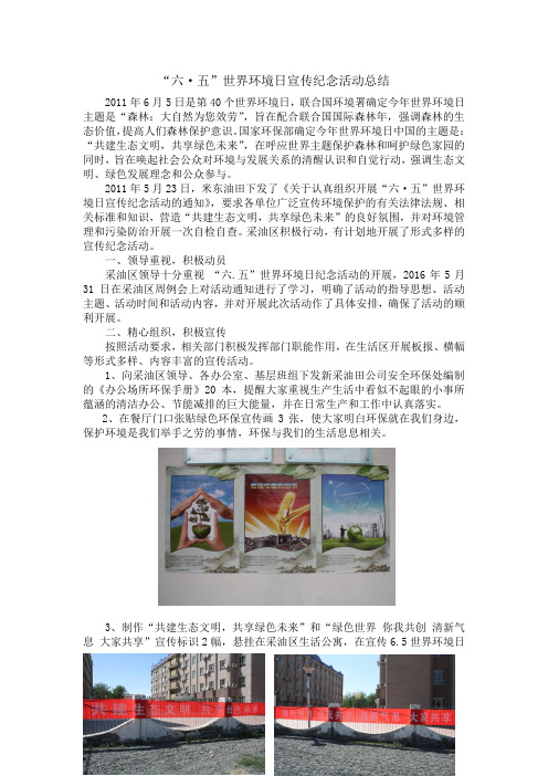 世界环境日宣传纪念活动总结