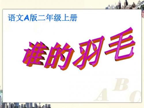 《谁的羽毛》PPT课件