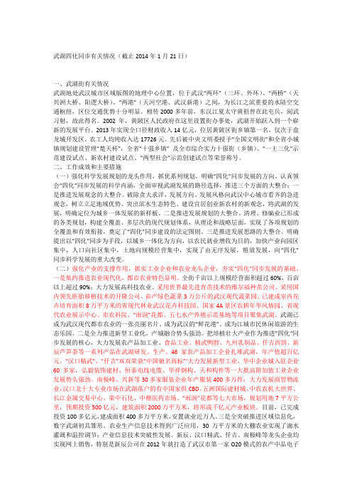 武湖的相关介绍