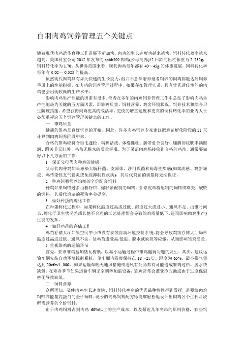 白羽肉鸡饲养管理五个关键点