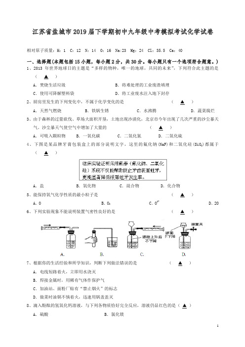 【精品】(人教版)江苏省盐城市2019届下学期初中九年级中考模拟考试化学试卷.doc