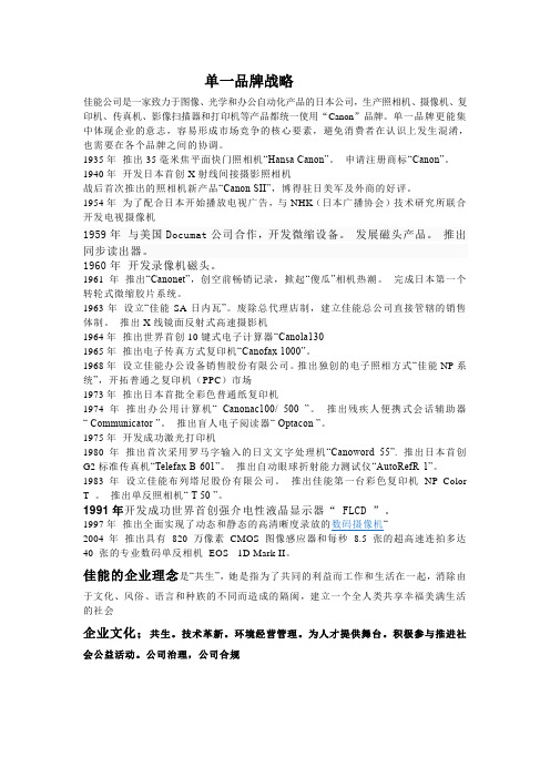 单一品牌战略