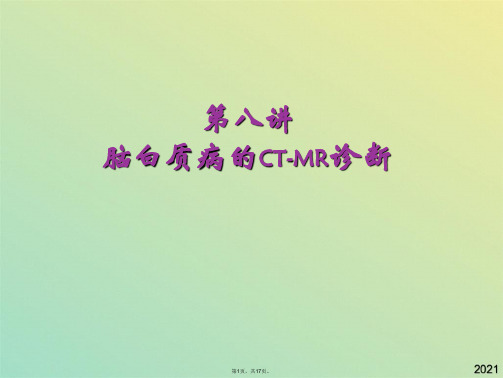 脑白质病的CTMR诊断(共17张PPT)