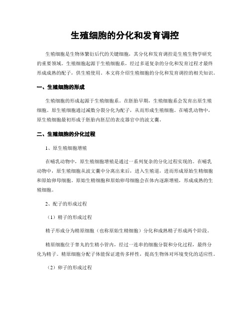 生殖细胞的分化和发育调控