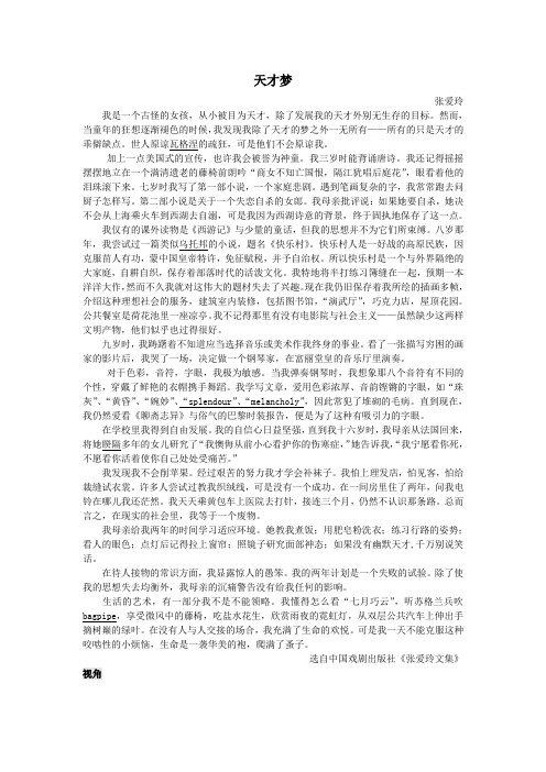 天才梦