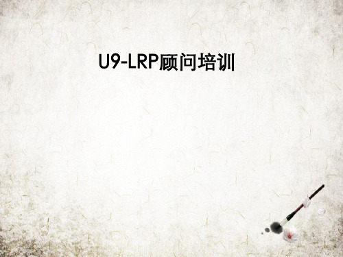 U9-LRP顾问培训