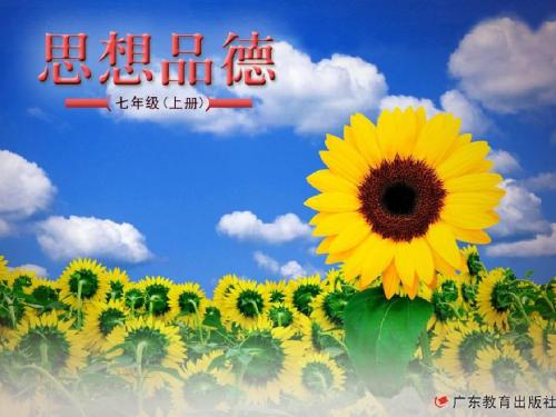 悦纳自己ppt优秀课件8 粤教版