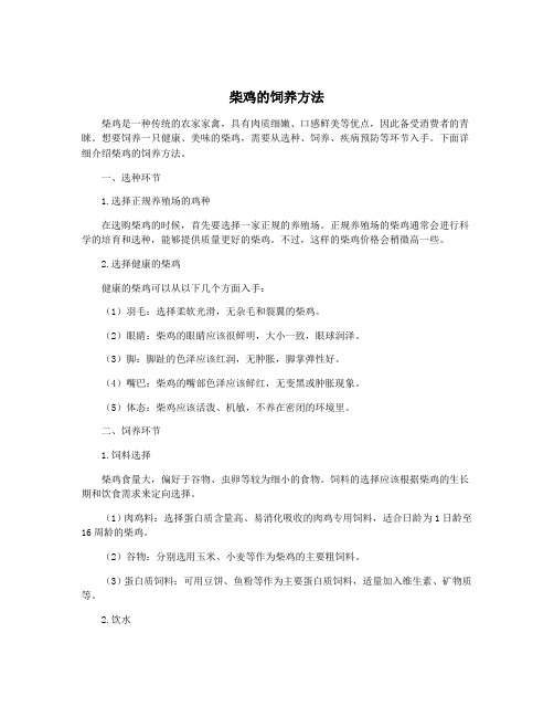 柴鸡的饲养方法
