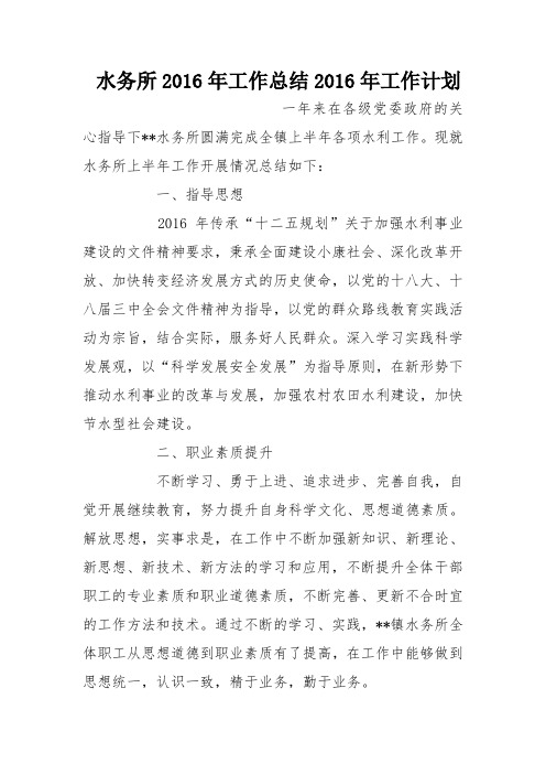 水务所2016年工作总结2016年工作计划