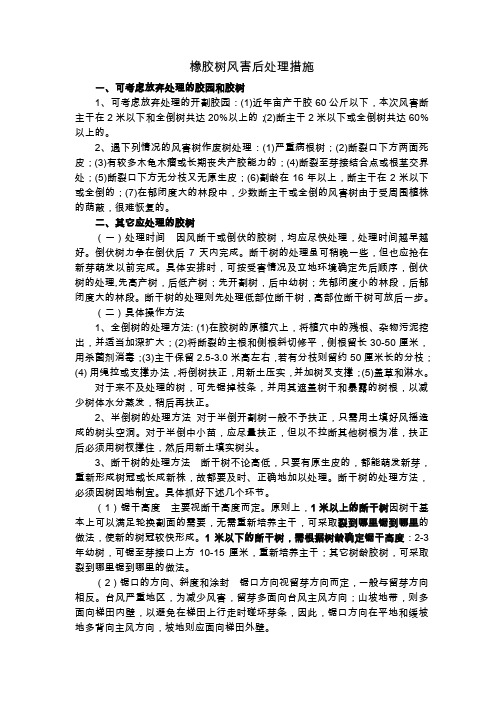 风害胶树的处理