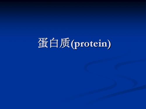 蛋白质