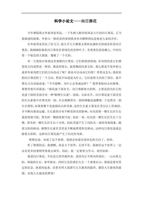 小学生科学小论文《向日葵花》