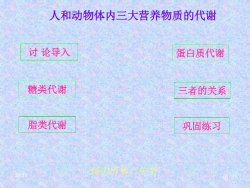 人和动物体内三大营养物质的代谢精选教学PPT3 人教版