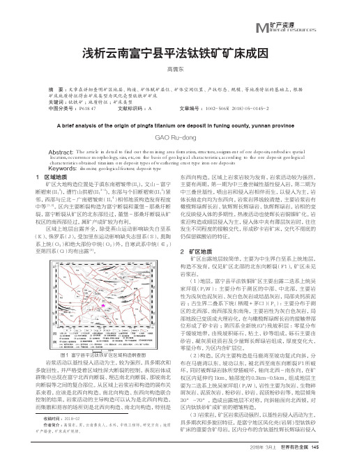 浅析云南富宁县平法钛铁矿矿床成因