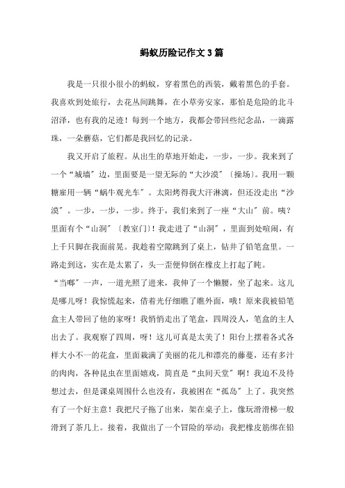 蚂蚁历险记作文3篇精选