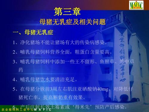 母猪无乳症及相关问题