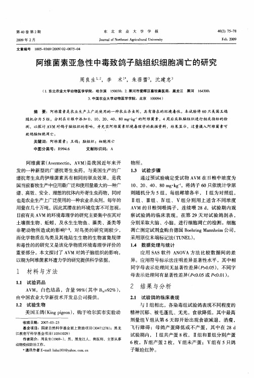 阿维菌素亚急性中毒致鸽子脑组织细胞凋亡的研究