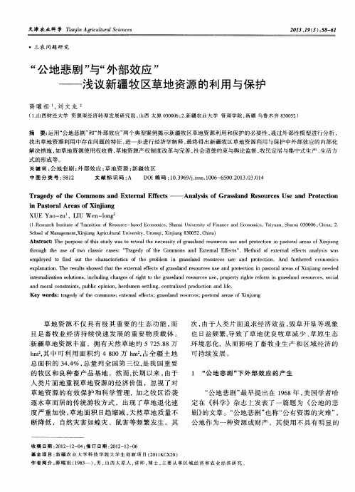 “公地悲剧”与“外部效应”——浅议新疆牧区草地资源的利用与保护