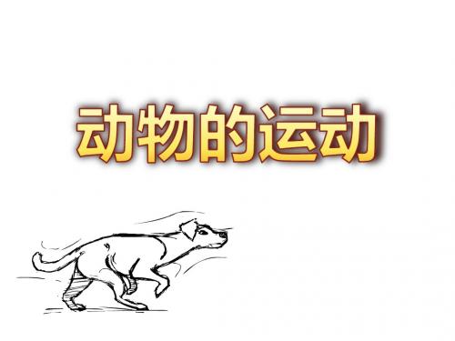济南版七年级上册动物的运动
