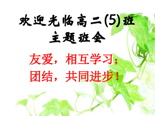 ：友爱,互相学习;团结,共同进步ppt   主题班会 获奖课件PPT