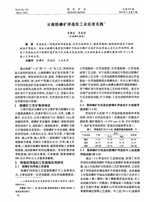 云南胶磷矿浮选柱工业应用实践