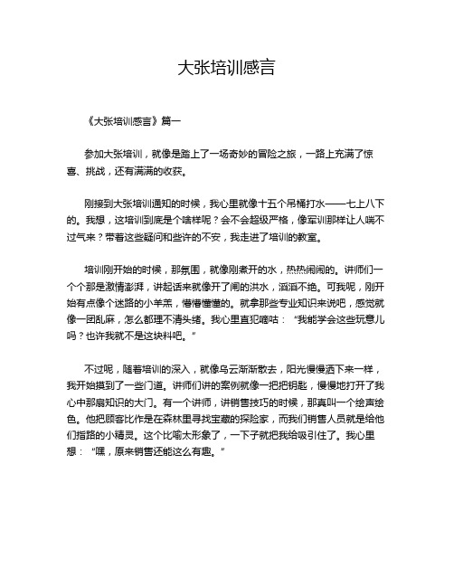 大张培训感言
