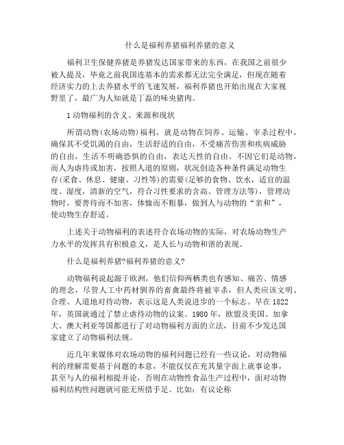 什么是福利养猪福利养猪的意义