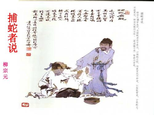 九年级语文上册苏教版(新版) 19《捕蛇者说》课件