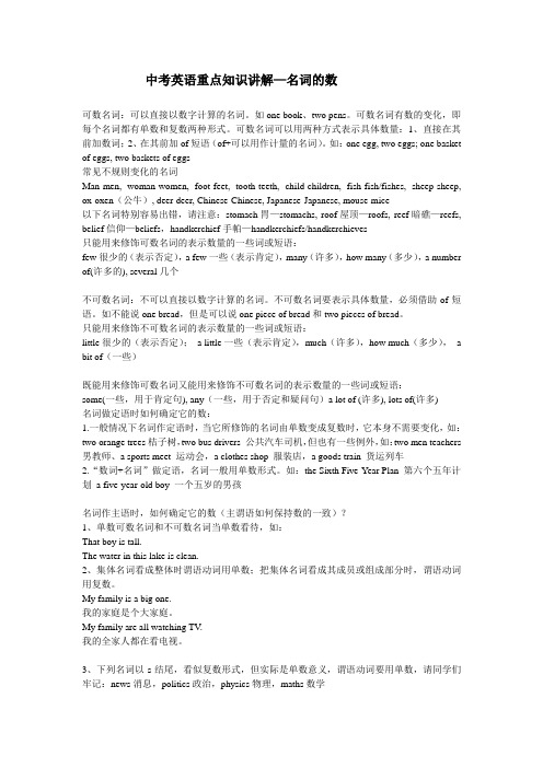 中考英语重点知识讲解—名词的数