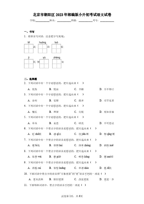 北京市朝阳区2023年部编版小升初考试语文试卷(含答案解析)