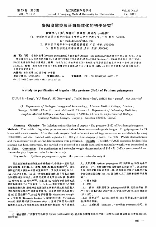贵阳腐霉类胰蛋白酶纯化的初步研究