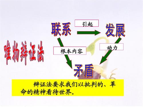 树立创新意识是唯物辩证法的要求课件