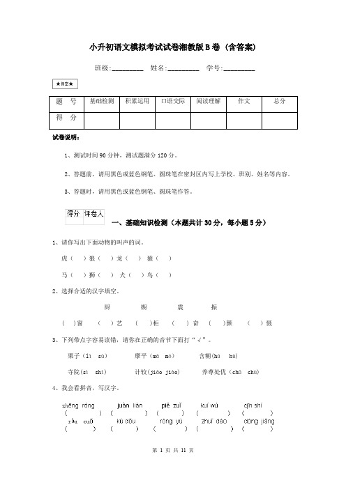 小升初语文模拟考试试卷湘教版B卷 (含答案)